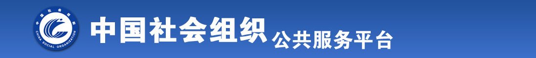 中日美女日B视频全国社会组织信息查询